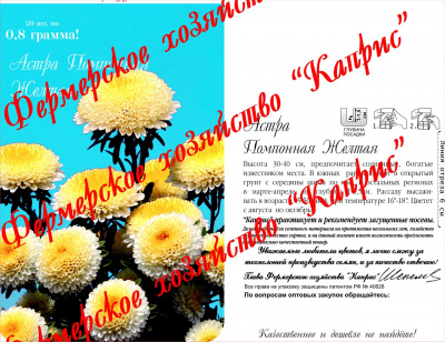 цАстра Купидончик/Желтая помпонная (20пак*1г)