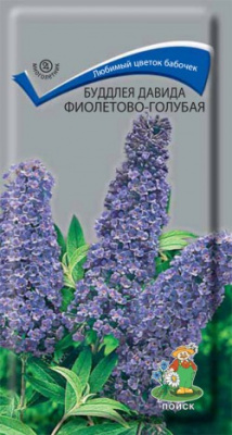 Буддлея Фиолетово-голубая (Давида) 0,01г