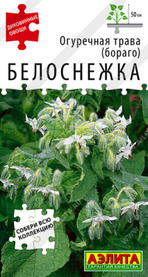 Огуречная трава Белоснежка 15шт