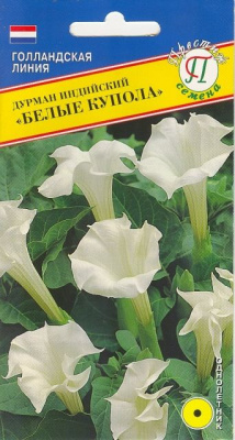 цДурман индийский Белые Купола, 5 шт Голландия