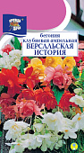 Бегония Версальская история 8шт