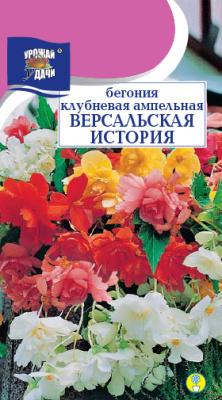 Бегония Версальская история 8шт
