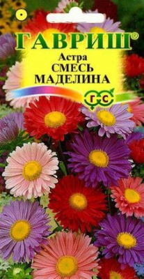 цАстра Маделина