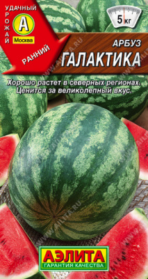 Арбуз Галактика 1г