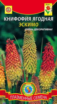 цКнифофия Эскимо ягодная