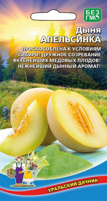 Дыня Апельсинка 10шт