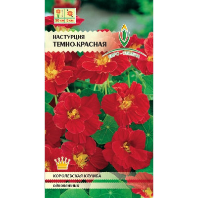 цНастурция темно-красная
