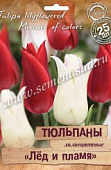 Тюльпан Лед и Пламя, лилиецветная смесь (25 шт)