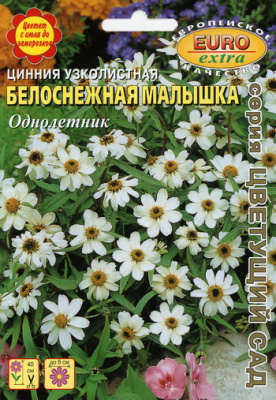 цЦинния Белоснежная малышка