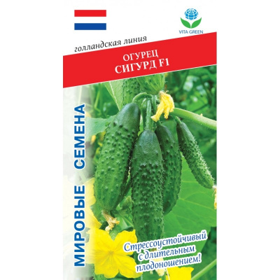 Огурец Сигурд 7шт VITA GREEN