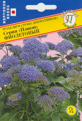 цТрахелиум Пэшн Фиолетовый 5др