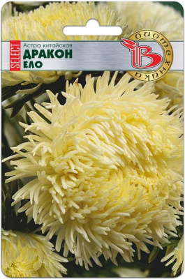 Астра Дракон Ело (селект) 30шт