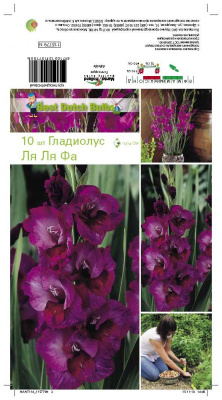 Гладиолус Ля Ля Фа (10)