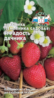 Клубника Радость Дачника (земляника садовая)15шт