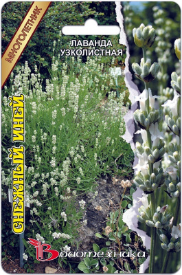цЛаванда Снежный Иней 15шт