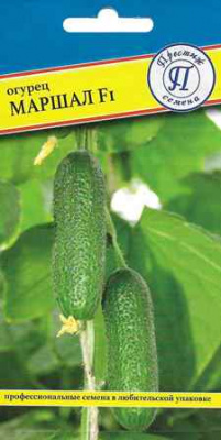 Огурец Маршал 5шт (Россия)