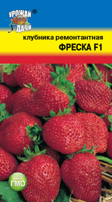 Клубника Фреска 5шт ремон.