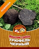 Грибы Трюфель черный