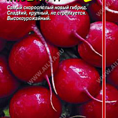 Редис Алешка 1г