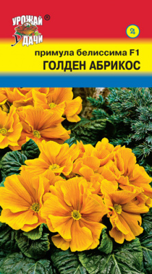 цПримула Белиссима Голден Абрикос 3шт