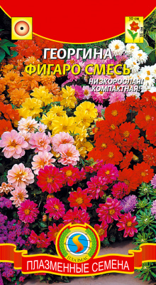 цГеоргина Фигаро смесь 11шт