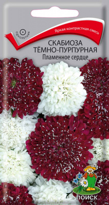 Скабиоза Пламенное сердце 10шт