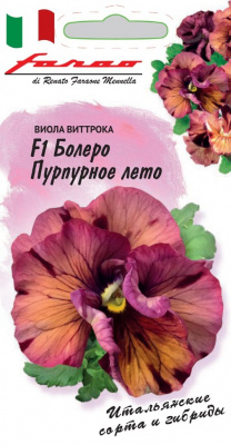 цВиола Болеро Пурпурное лето 10шт