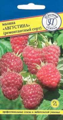 Малина Августина ремонт.10шт