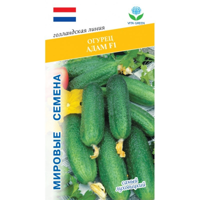 Огурец Адам 7шт VITA GREEN