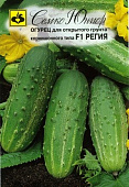 Огурец Регия 10шт
