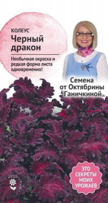 цКолеус Черный дракон 10 шт (семена от Ганичкиной)