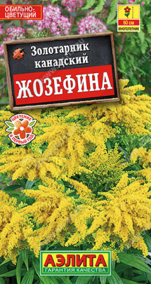 цЗолотарник Жозефина 0,05г