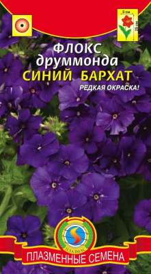 цФлокс Синий бархат (друммонда) 0,1г