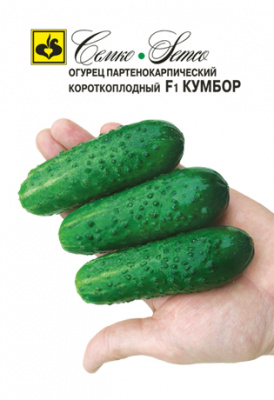 Огурец Кумбор 5шт