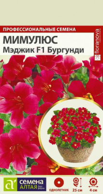цМимулюс Мэджик Бургунди 7 шт