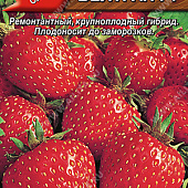Земляника Белтран 5шт крупн. ремон.