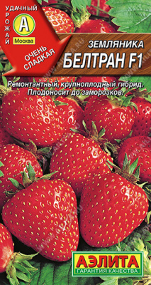 Земляника Белтран 5шт крупн. ремон.