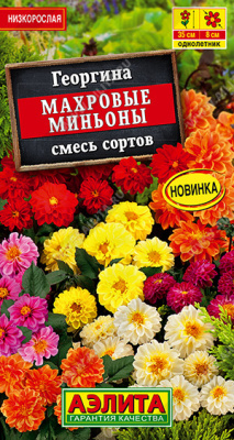 Георгина Махровые миньоны смесь 7шт