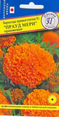 цБархатцы Прауд Мэри оранжевые 5шт