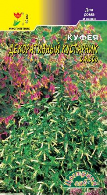 цКуфея Декоративный кустарник