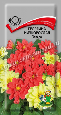 цГеоргина Эллада низк. 0,2г