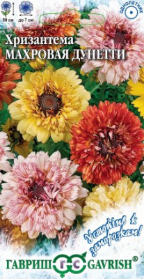 Хризантема Дунетти 0,5г Устойчив к заморозкам