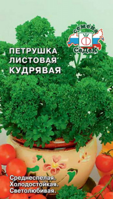 Петрушка листовая кудрявая