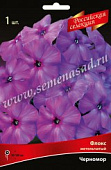Флокс Черномор (1 шт.)