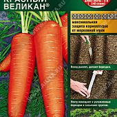 Морковь Красный великан (лента) 8м