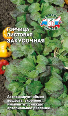 Горчица Закусочная