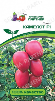 Томат Камелот 5шт