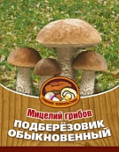 Грибы Подберезовик