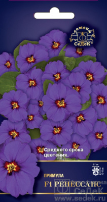 цПримула Ренессанс 5шт