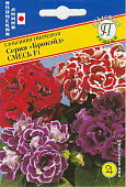 цГлоксиния Брокэд смесь